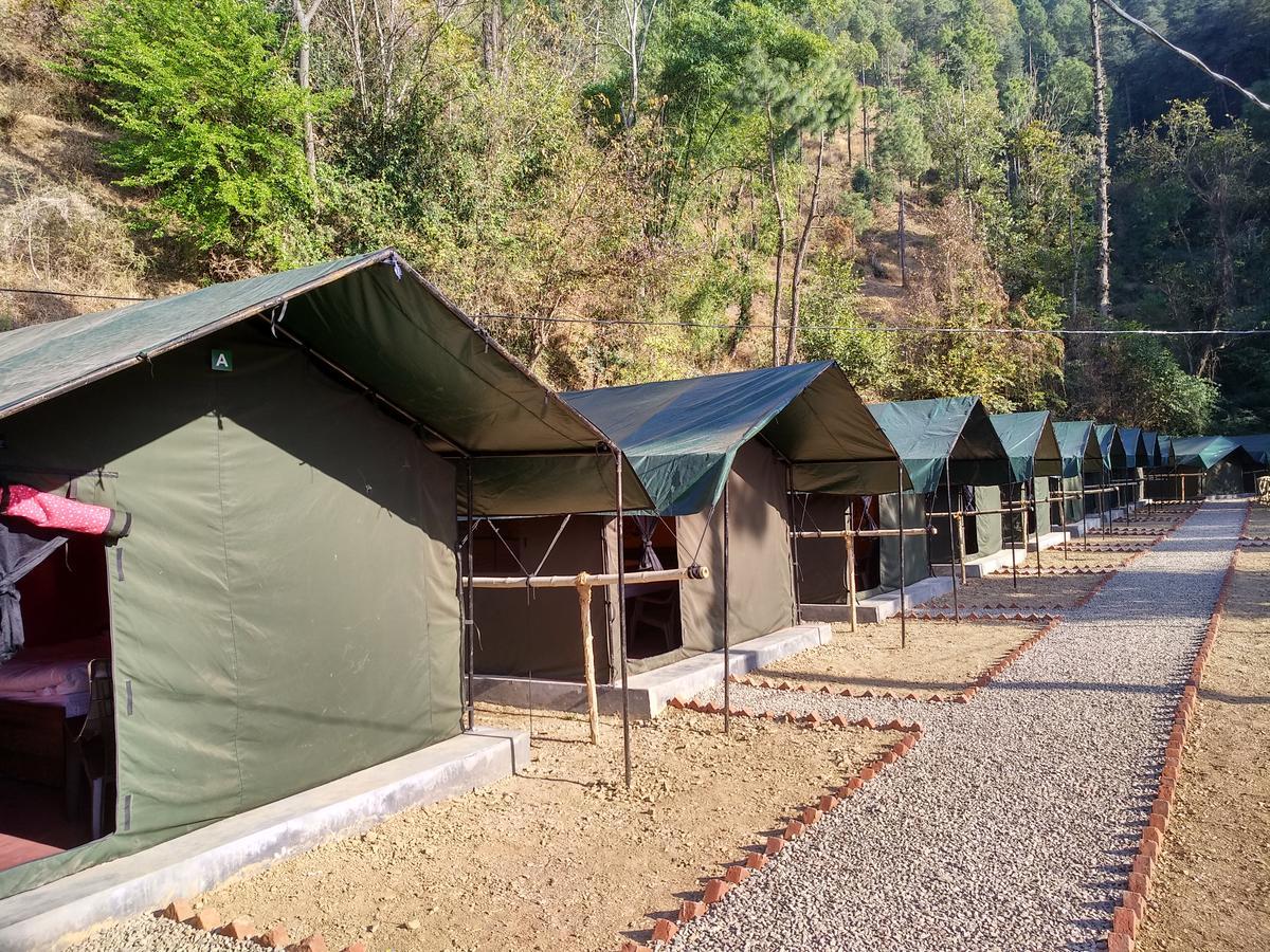 Jungle Stays Chail Exteriör bild